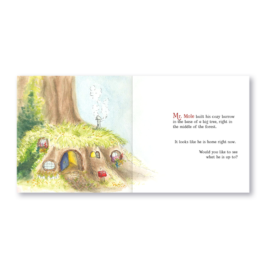 Hello, Mr. Mole! - Children's Book Paperback